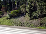 Interstate 805 - San Diego, CA