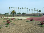 Highway 91 - Cerritos, CA