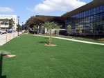 UC San Diego