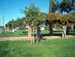 Weston Park - Hemet, CA